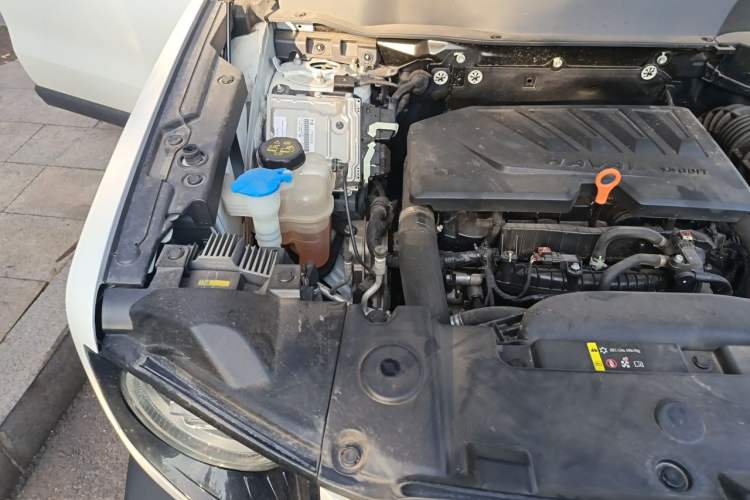 Used Haval DARGO 2021 1.5T DCT Two-Wheel Drive Border Collie Edition Engine Bay Right