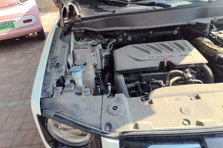 Used Haval DARGO 2021 1.5T DCT Two-Wheel Drive Labrador Edition Engine Bay Right
