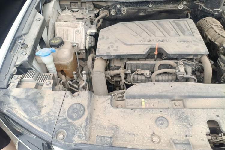 Used Haval DARGO 2021 1.5T DCT Two-Wheel Drive Border Collie Edition Engine Bay Right