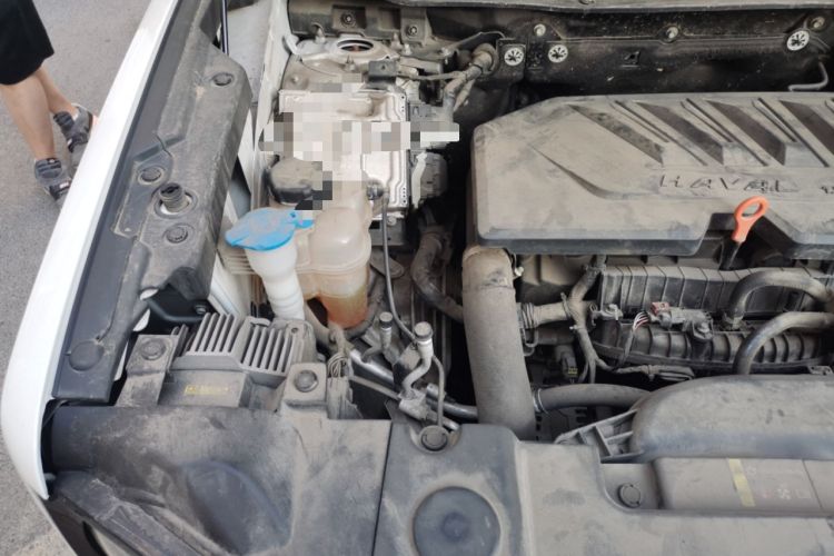 Used Haval DARGO 2021 1.5T DCT Two-Wheel Drive Border Collie Edition Engine Bay Right