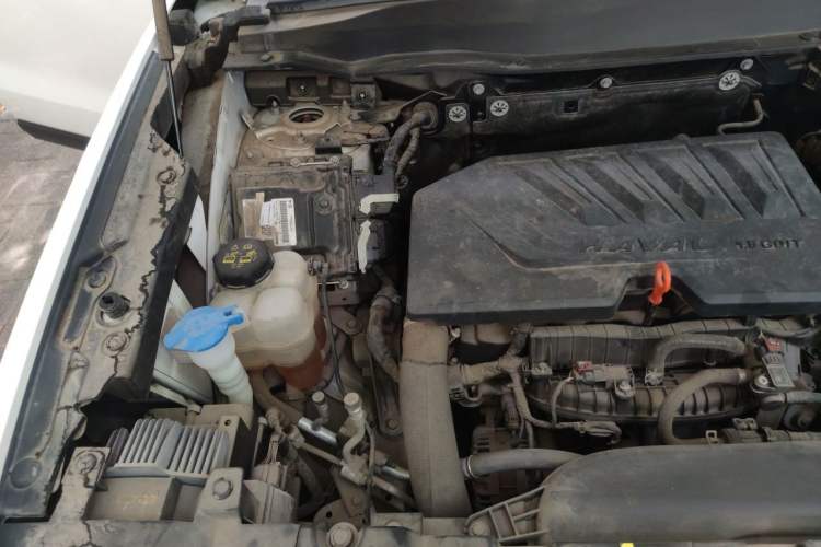 Used Haval DARGO 2021 1.5T DCT Two-Wheel Drive "Mǎquǎn" Edition Engine Bay Right