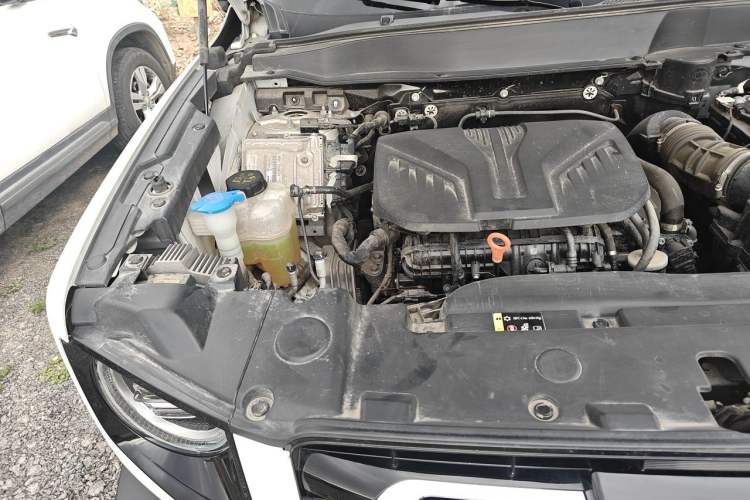 Used Haval DARGO 2021 2.0T DCT All-Wheel-Drive "Hao Tian Quan" Edition Engine Bay Right