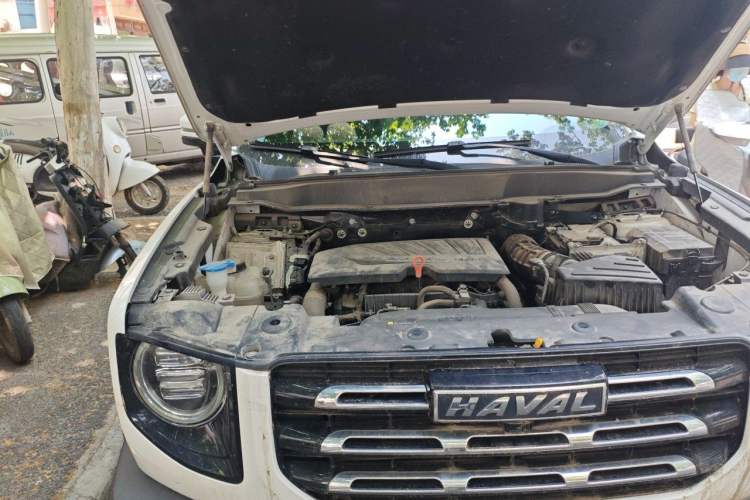 Used Haval DARGO 2021 1.5T DCT Two-Wheel Drive Border Collie Edition Engine Bay Right