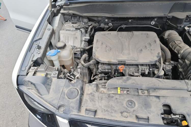 Used Haval DARGO 2021 2.0T DCT 4x4 Chinese Rural Dog Edition Engine Bay Right