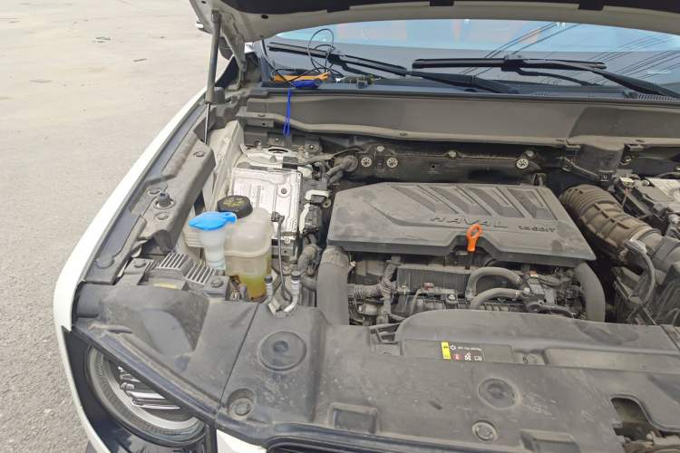 Used Haval DARGO 2021 1.5T DCT Two-Wheel Drive Border Collie Edition Engine Bay Right
