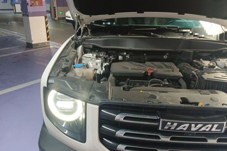 Used Haval DARGO 2021 1.5T DCT Two-Wheel Drive Border Collie Edition Engine Bay Right
