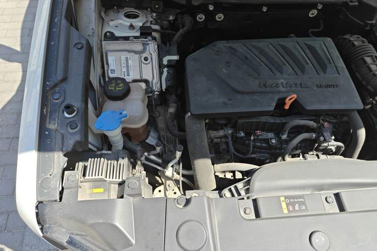 Used Haval DARGO 2021 1.5T DCT Two-Wheel Drive Border Collie Edition Engine Bay Right
