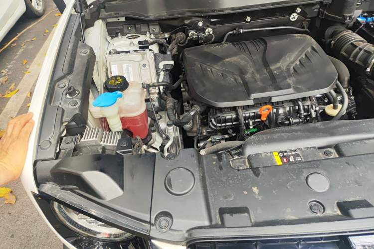 Used Haval DARGO 2021 2.0T DCT All-Wheel-Drive "Hao Tian Quan" Edition Engine Bay Right