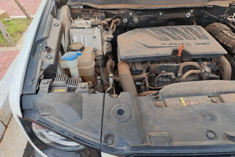 Used Haval DARGO 2021 1.5T DCT Two-Wheel Drive Labrador Edition Engine Bay Right