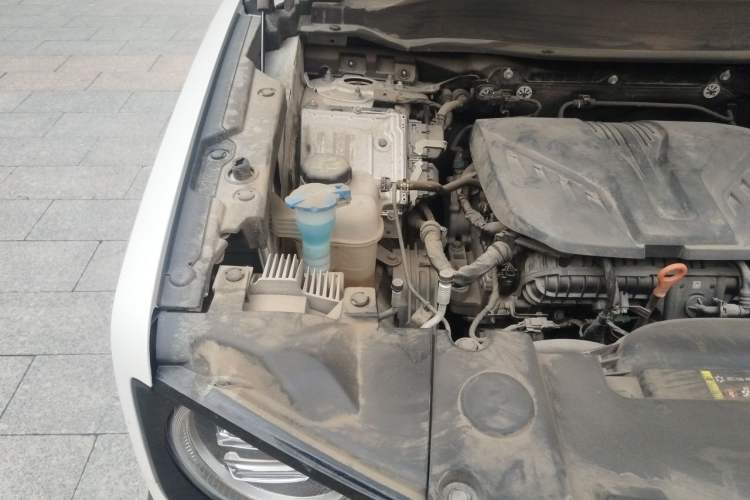 Used Haval DARGO 2021 2.0T DCT 4x4 Chinese Rural Dog Edition Engine Bay Right
