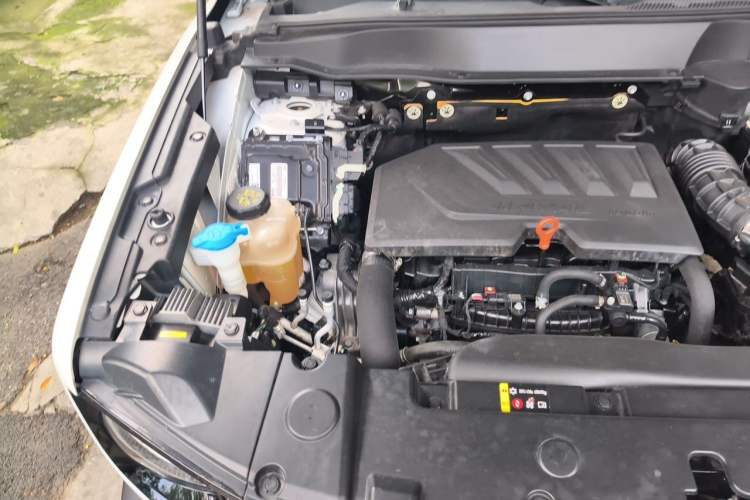 Used Haval DARGO 2021 1.5T DCT Two-Wheel Drive "Mǎquǎn" Edition Engine Bay Right