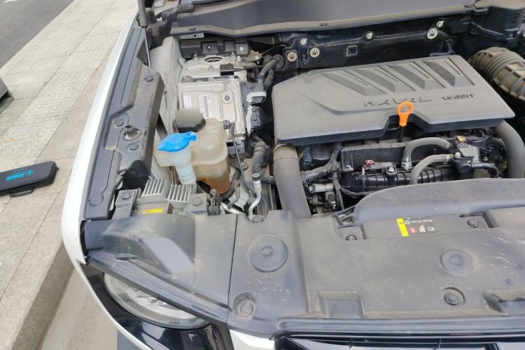 Used Haval DARGO 2021 1.5T DCT Two-Wheel Drive Border Collie Edition Engine Bay Right