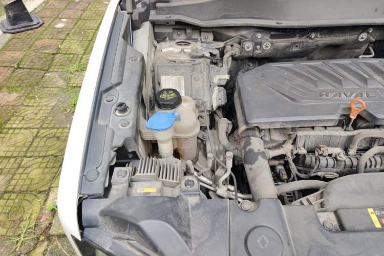 Used Haval DARGO 2021 1.5T DCT Two-Wheel Drive Border Collie Edition Engine Bay Right