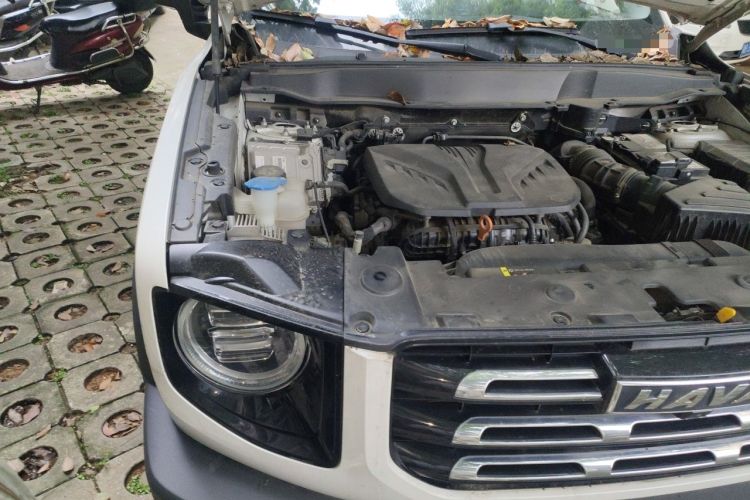Used Haval DARGO 2021 2.0T DCT 4x4 Chinese Rural Dog Edition Engine Bay Right