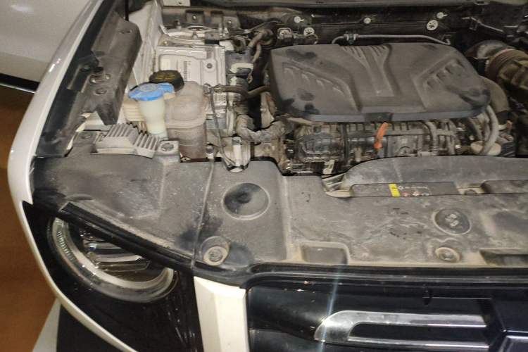 Used Haval DARGO 2021 2.0T DCT 4x4 Chinese Rural Dog Edition Engine Bay Right