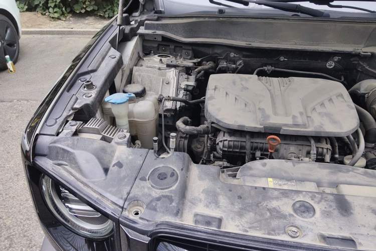 Used Haval DARGO 2021 2.0T DCT Two-Wheel Drive Chinese Mastiff Edition Engine Bay Right