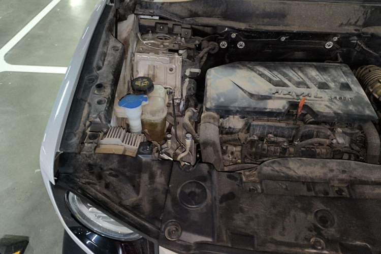 Used Haval DARGO 2021 1.5T DCT Two-Wheel Drive "Mǎquǎn" Edition Engine Bay Right