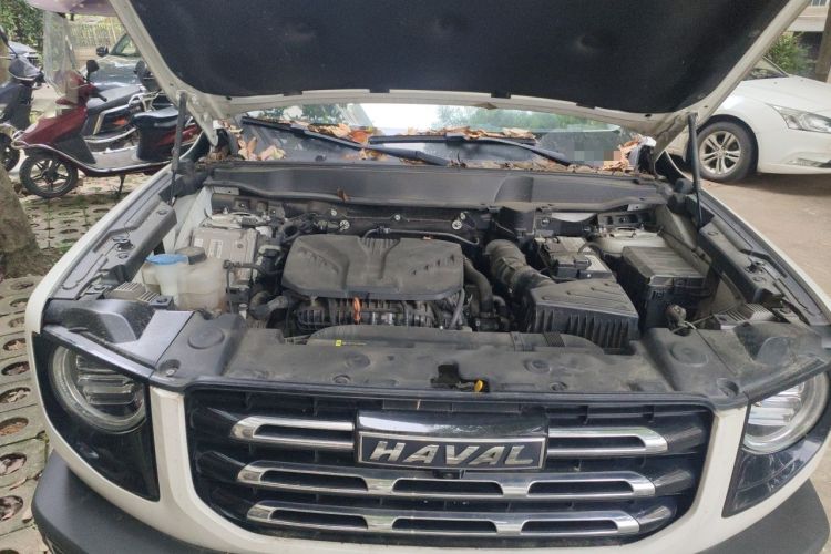 Used Haval DARGO 2021 2.0T DCT 4x4 Chinese Rural Dog Edition Engine Bay
