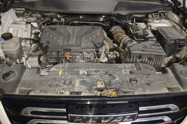 Used Haval DARGO 2021 2.0T DCT 4x4 Chinese Rural Dog Edition Engine Bay
