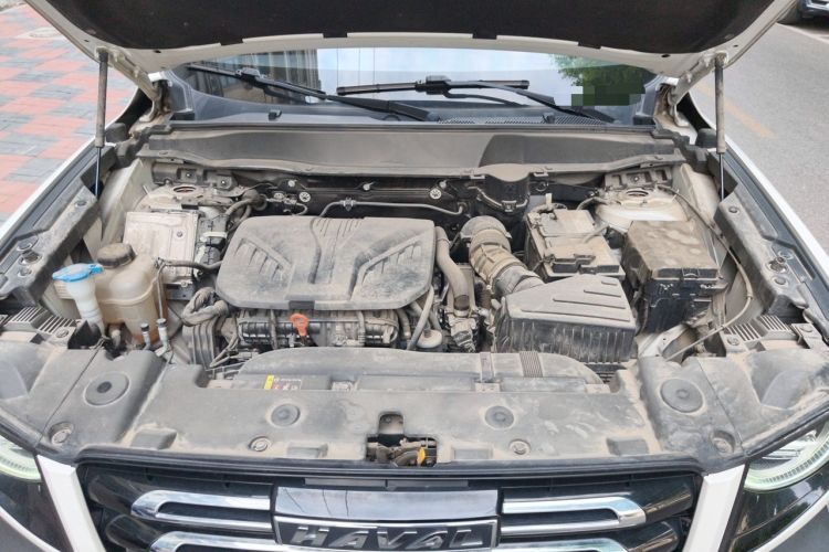 Used Haval DARGO 2021 2.0T DCT Two-Wheel Drive Chinese Mastiff Edition Engine Bay