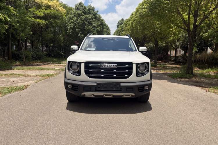 Used Haval DARGO 2021 Revised Version 2.0T DCT Four-Wheel Drive "Hao Tian Que" Edition Exterior 1