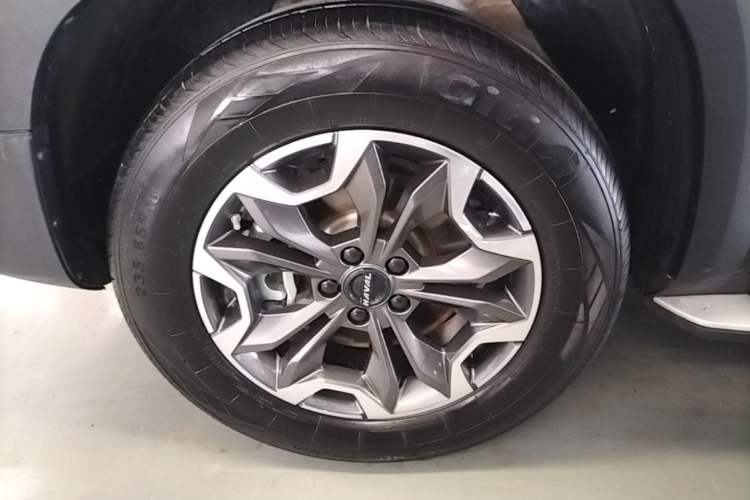 Used Haval DARGO 2021 2.0T DCT 4x4 Chinese Rural Dog Edition Exterior 4