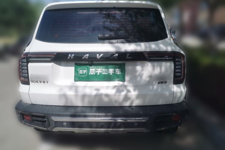 Used Haval DARGO 2021 2.0T DCT 4x4 Chinese Rural Dog Edition Exterior 4