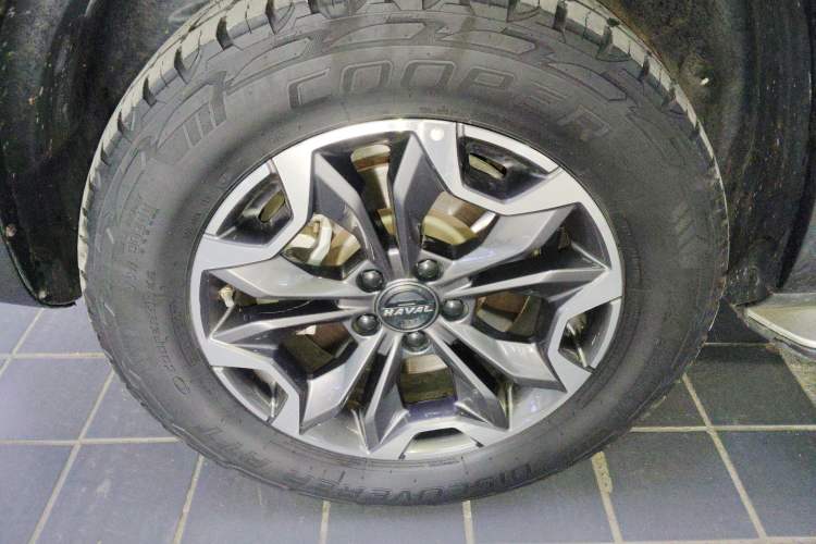 Used Haval DARGO 2021 Revised Version 2.0T DCT Four-Wheel Drive "Hao Tian Que" Edition Exterior 4