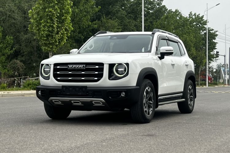 Used Haval DARGO 2021 2.0T DCT 4x4 Chinese Rural Dog Edition Exterior 5