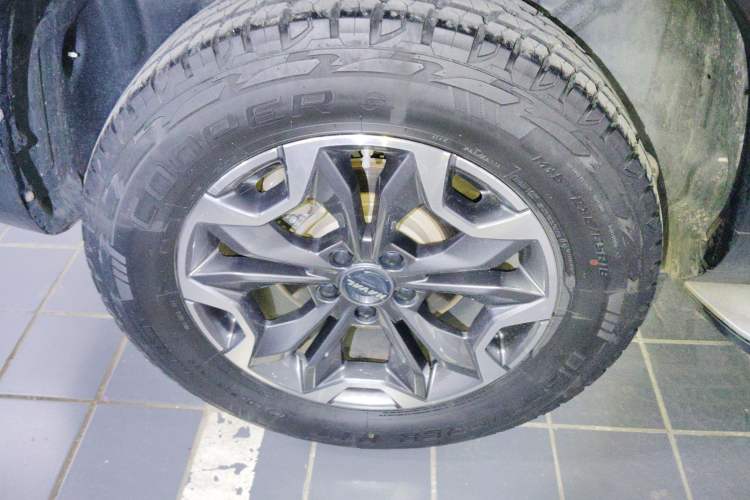 Used Haval DARGO 2021 Revised Version 2.0T DCT Four-Wheel Drive "Hao Tian Que" Edition Exterior 5