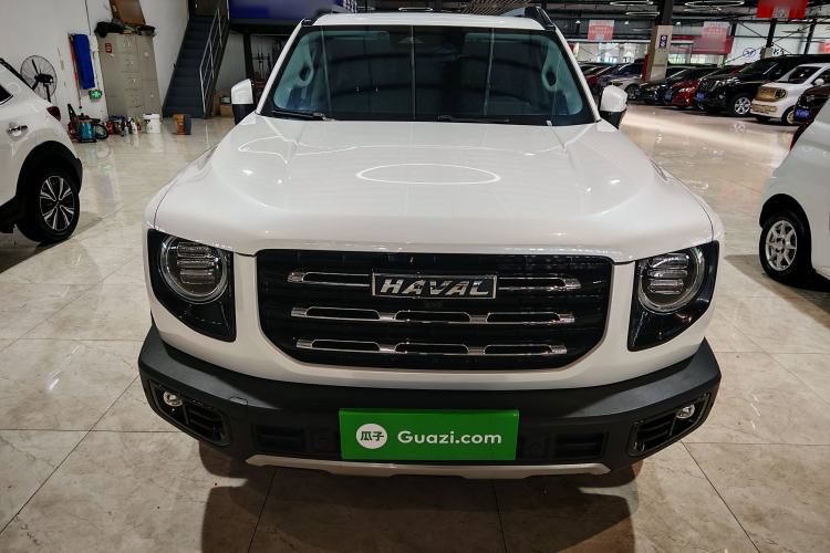 Used Haval DARGO 2021 Revised Version 2.0T DCT Four-Wheel Drive "Hao Tian Que" Edition Exterior 6