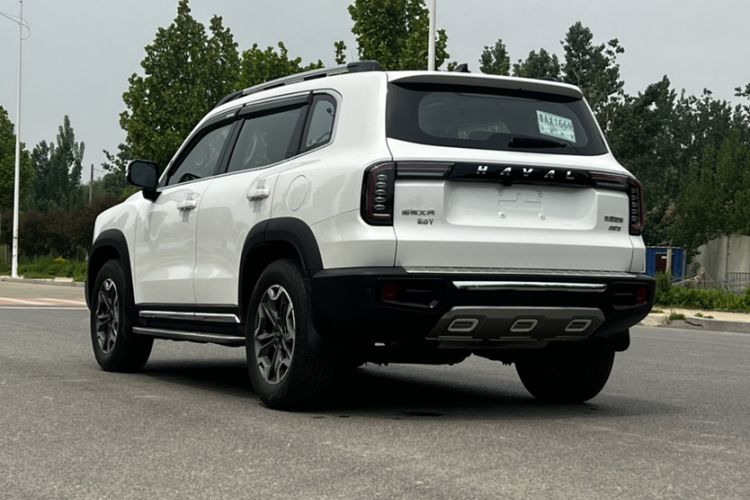 Used Haval DARGO 2021 2.0T DCT 4x4 Chinese Rural Dog Edition Exterior 7