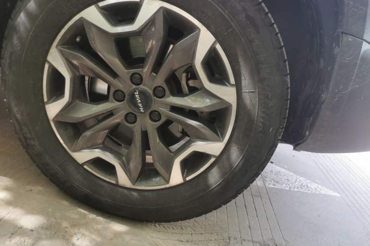 Used Haval DARGO 2021 2.0T DCT 4x4 Chinese Rural Dog Edition Exterior 7
