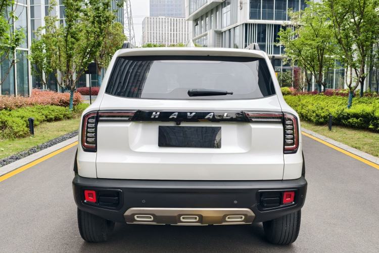 Used Haval DARGO 2021 1.5T DCT Two-Wheel Drive Border Collie - Wangcai Edition Exterior 9