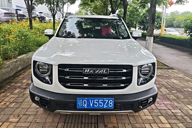 Used Haval DARGO 2021 2.0T DCT 4x4 Chinese Rural Dog Edition Front