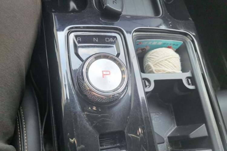 Used Haval DARGO 2021 1.5T DCT Two-Wheel Drive Border Collie Edition Gear Lever