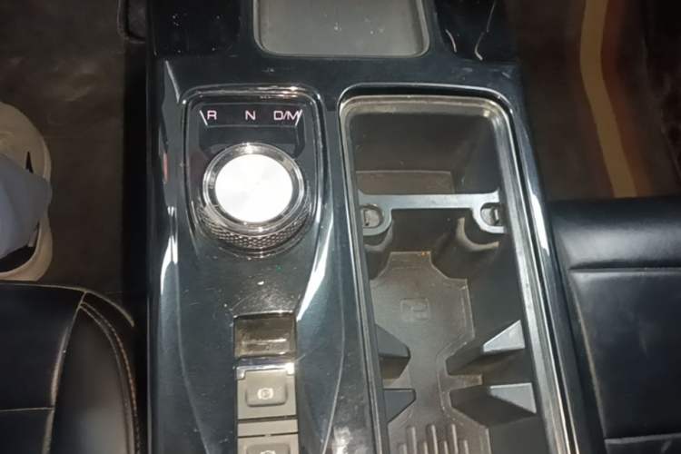 Used Haval DARGO 2021 2.0T DCT 4x4 Chinese Rural Dog Edition Gear Lever