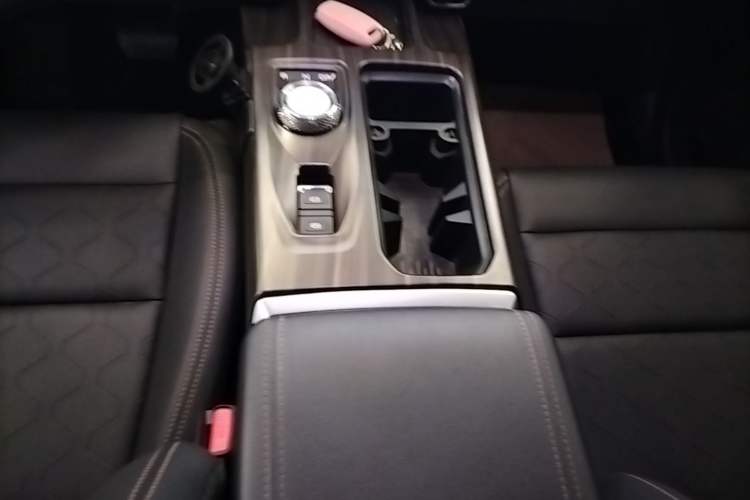 Used Haval DARGO 2021 2.0T DCT 4x4 Chinese Rural Dog Edition Gear Lever