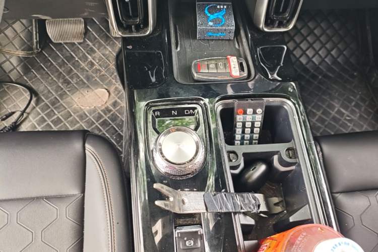 Used Haval DARGO 2021 2.0T DCT 4x4 Chinese Rural Dog Edition Gear Lever