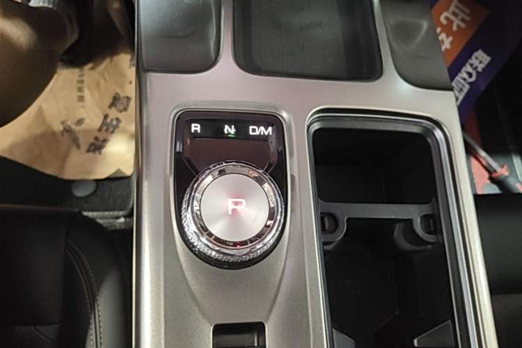 Used Haval DARGO 2021 1.5T DCT Two-Wheel Drive Labrador Edition Gear Lever