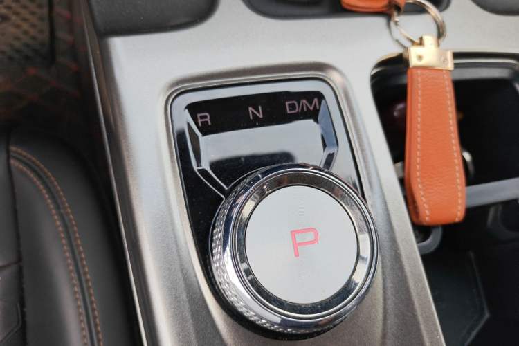 Used Haval DARGO 2021 1.5T DCT Two-Wheel Drive Labrador Edition Gear Lever