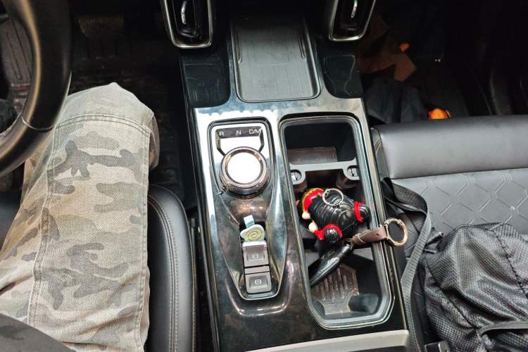 Used Haval DARGO 2021 1.5T DCT Two-Wheel Drive Border Collie Edition Gear Lever