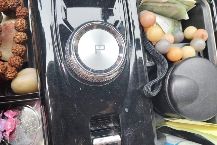 Used Haval DARGO 2021 2.0T DCT Two-Wheel Drive Chinese Mastiff Edition Gear Lever