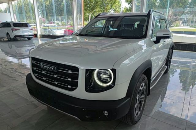 Used Haval DARGO 2021 2.0T DCT 4x4 Chinese Rural Dog Edition