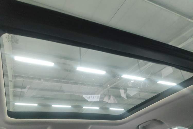Used Haval DARGO 2021 2.0T DCT 4x4 Chinese Rural Dog Edition Headliner