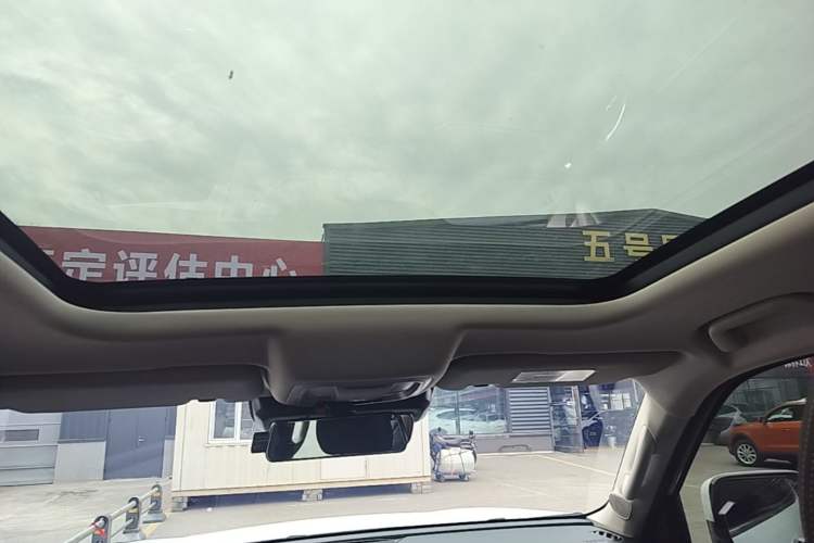 Used Haval DARGO 2021 2.0T DCT 4x4 Chinese Rural Dog Edition Headliner