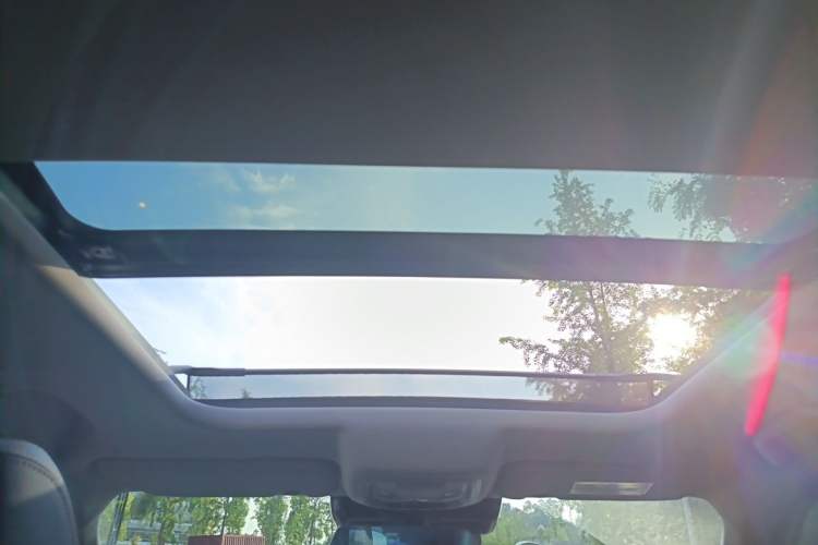 Used Haval DARGO 2021 1.5T DCT Two-Wheel Drive Border Collie Edition Headliner