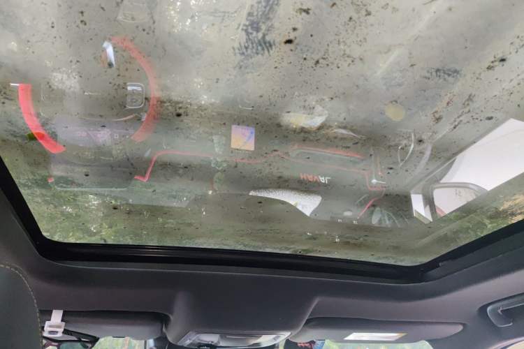 Used Haval DARGO 2021 2.0T DCT 4x4 Chinese Rural Dog Edition Headliner
