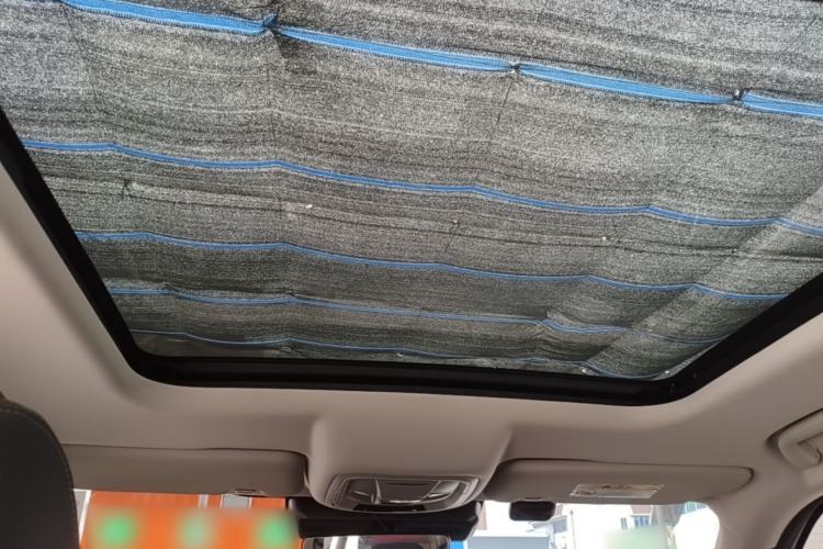 Used Haval DARGO 2021 1.5T DCT Two-Wheel Drive Border Collie Edition Headliner
