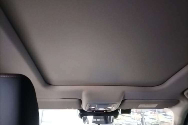 Used Haval DARGO 2021 2.0T DCT 4x4 Chinese Rural Dog Edition Headliner